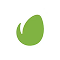 Envato